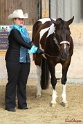 23-APHA SS_033